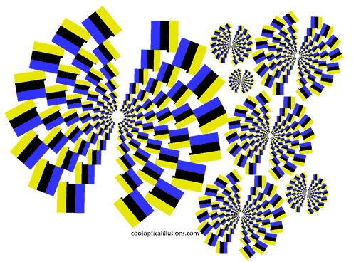 funny moving pictures. moving spiral illusion