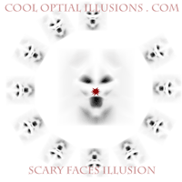 check out the Obama Illusion