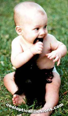 funny baby tries to eat a black cat!