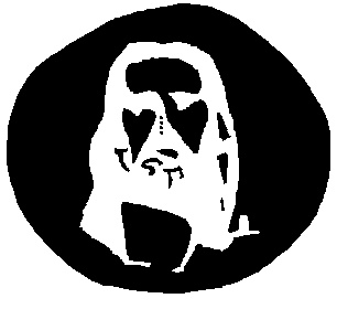 Jesus optical illusion image